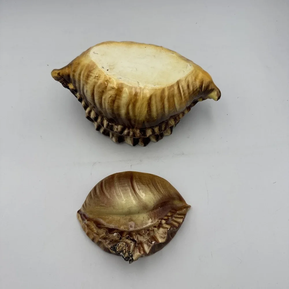 Vintage Atlantic Mold Ceramic Large Conch Sea Shell Planter Vase Brown Glossy